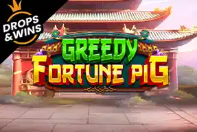 Greedy Fortune Pig